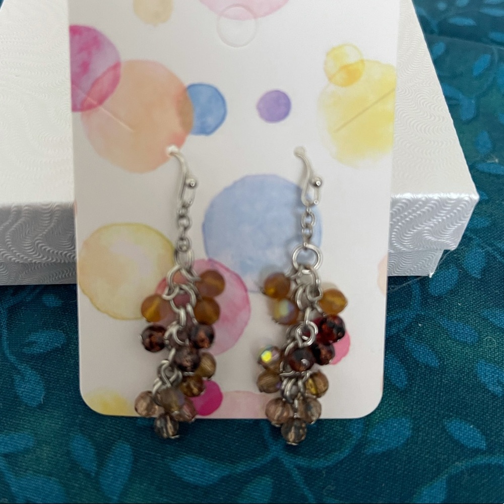 Coldwater Creek Earrings